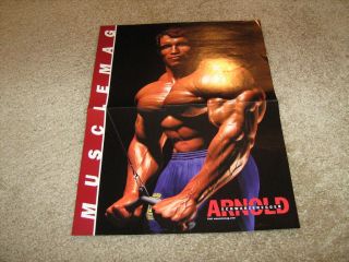 Arnold Schwarzenegger Bodybuilding MuscleMag Poster
