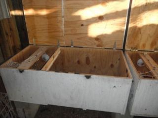 Do it yourself Poultry Brooder Plans Chickens Quail