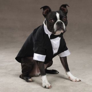 Pet Dog Tux Tuxedo Wedding Groom Costume Suit Dress Formal Wear XXS XS
