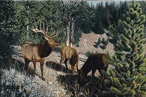 Patrick Gibbs S/N Elk Print KING OF THE HILL 26 x 20
