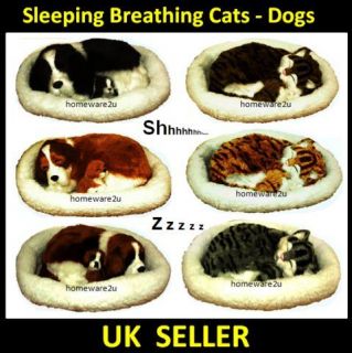 Sleeping Pet Breathing Dog Cat Soft Animated Snoozing Snoring Animal