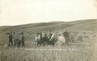 ND, Foxholm, North Dakota, RPPC, Farmer Harvesting Wheat, Horse Drawn
