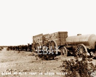  1900S 20 MULE TEAM BORAX WAGON DEATH VALLEY CALIFORNIA CA PHOTO 6