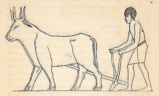 1836 Wood Engraving Egyptian Agriculture Farmer Plowing Oxen Yoke