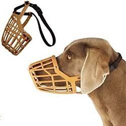 Guardian Gear DOG Quick Fit/Release Training Safety HEAVYDUTY BASKET