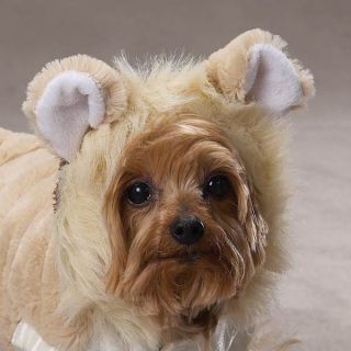 Casual Canine Lil Lion Halloween Dog Costume Pet Puppy Clothes Apparel