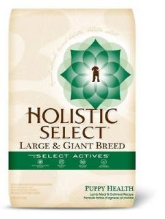 HOLISTIC SELECT LARGE AND GIANT BREED DRY DOG FOOD