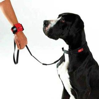 Patento Pet Hands Free Dog Leash Walking and Running Leads for Pets