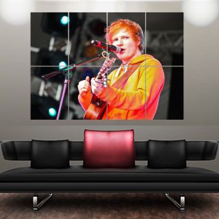 Ed Sheeran Live Performance Singer Giant Laminated Poster Picture