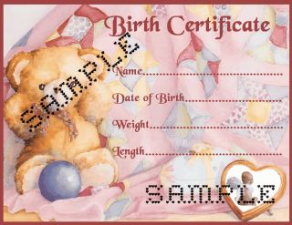 STORK & NEST BIRTH CERTIFICATE/CE RTIFICATES 4 REBORN FAKE BABY approx