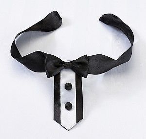 NEW ~ Tuxedo Dog Collar ~ Wedding Dog Collar ~ Pet Accessories