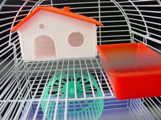 NEW HAMSTER RODENTS CAGE   Run Wheel + Home + Ladder ++