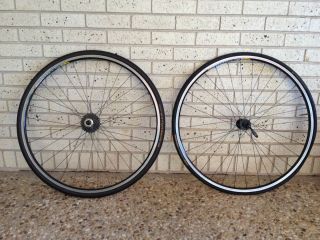 Custom Built Mavic Open Pro Rims with DT Swiss 240 Hubs and Dura Ace