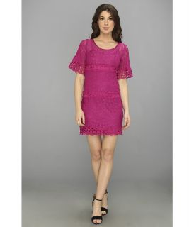 Laundry by Shelli Segal Bell Sleeve Lace Shift Dress Womens Dress (Pink)