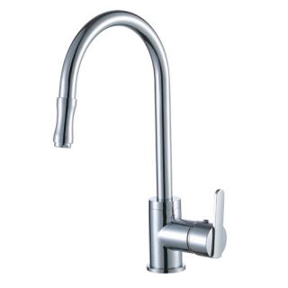 Yosemite Home Decor Single Handle Single Hole Kitchen Faucet with Pull out Sp