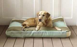 Watershed Classic Outdoor Dog Bed / Medium Dog Bed   Dogs Up To 70 Lbs., Blue Green
