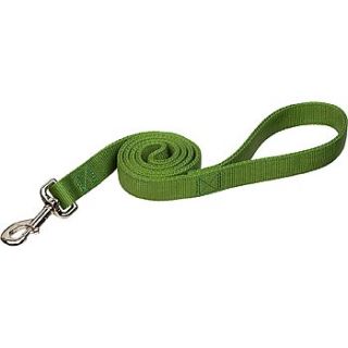 Double Ply Nylon Personalized Dog Leash in Palm Green, 4 L X 1 W