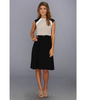 Calvin Klein Colorblock Belted Fit and Flare Dress Womens Dress (Multi)