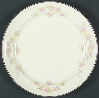 Taylor, Smith & T (TS&T) 1697 Smooth Dinner Plate, Fine China Dinnerware   Pink