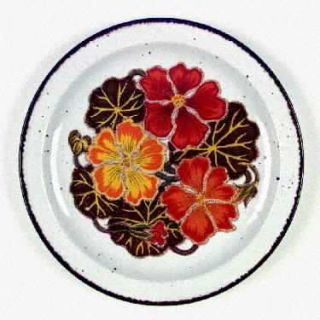 WR Midwinter Nasturtium Dinner Plate, Fine China Dinnerware   Stonehenge, Large