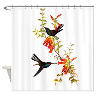  Hummingbirds Shower Curtain  Use code FREECART at Checkout