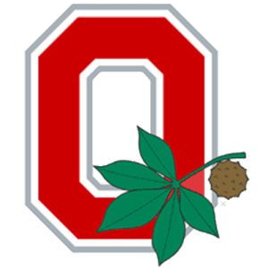 Ohio State Buckeyes Moveable 12x12 Decal