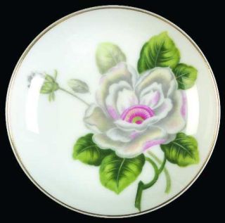 Grace Scarsdale Coaster, Fine China Dinnerware   Large White/Pink Flowers