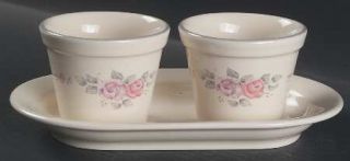 Pfaltzgraff Trousseau Herb Pots with Tray (2 Pots and 1 Tray), Fine China Dinner
