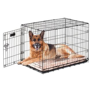 Precision ProValu Great Crate Single Door Dog Crate with FREE Pad Multicolor  