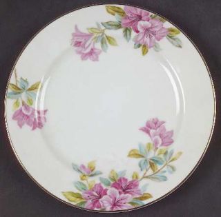 Noritake Azalea Bread & Butter Plate, Fine China Dinnerware   Pink Flowers, Whit