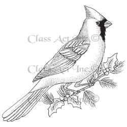 Class Act Cling Mounted Rubber Stamp 4 X5.75  Large Cardinal