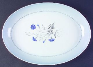 Bing & Grondahl Cornflower Blue Edge 15 Oval Serving Platter, Fine China Dinner
