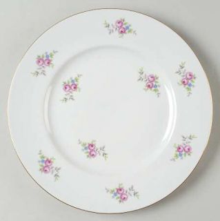 Graf Von Henneberg Hep29 Dinner Plate, Fine China Dinnerware   Pink Roses,Green&
