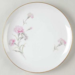 Royal Court Carnation Luncheon Plate, Fine China Dinnerware   Pink Carnation Flo