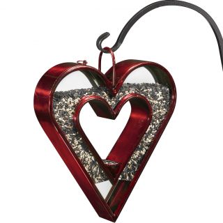 Ruby Heart Fly thru Bird Feeder