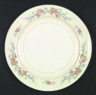 Homer Laughlin  Ferndale Dinner Plate, Fine China Dinnerware   Egg. Nautilus,Pin