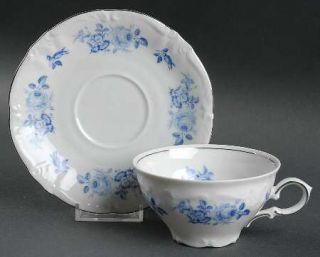 Winterling   Bavaria Wig5 Flat Cup & Saucer Set, Fine China Dinnerware   Blue Ro