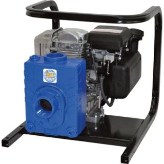 IPT Cast Iron Ag/Water Pump   Honda GC160 Engine, 2in. Ports, Model# 2AG5QCV