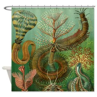  Ernst Haeckel Chaetopoda Shower Curtain  Use code FREECART at Checkout