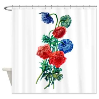  Poppy Anemone Drawn From Nature Shower Curtain  Use code FREECART at Checkout