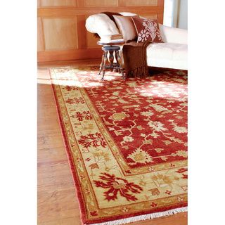 Hand Knotted Antolya Semi worsted New Zealand Wool Rug (9 X 13 )