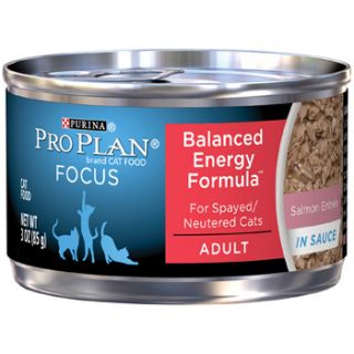 Focus Balanced Energy Canned Salmon Cat Food, 3 oz.