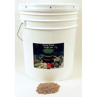 Living Whole Foods Organic Spelt Grain Seeds (35 pound Bucket)