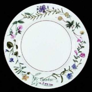 Royal Worcester Arcadia Dinner Plate, Fine China Dinnerware   Pink,Yellow,Blue F
