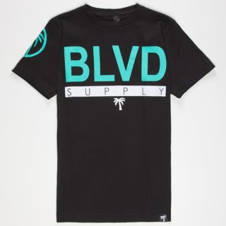 Blvd Team Boys T Shirt Black In Sizes Large, Small, X Large, Medium