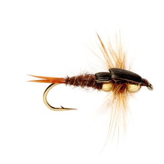 Bead Head Stonefly, Brown, 6