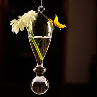 Hanging Glass Vase