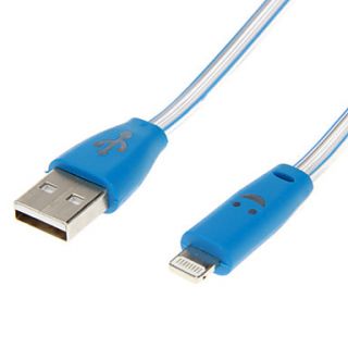 Luminous USB 2.0 Male to 8 Pin Male Data and Charger Cable for iPhone5/5s(Blue 1.0m)