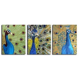 Hand Painted Oil painting Animal Peacock with Stretched Frame Set of 3
