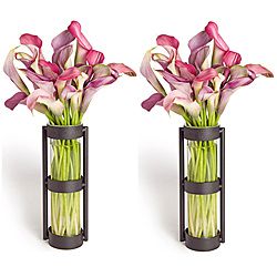 Metal Stand Glass Cylinder Vases (set Of 2) (Black iron, clear glassDecorative/Functional FunctionalHolds water YesDimensions 8 inches high x 3 inches wide x 2.25 inches deepSet of 2 )